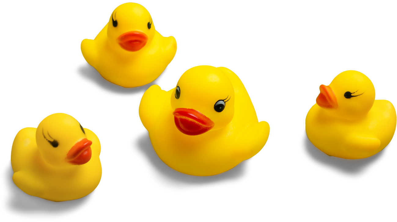 Rubber Duck Family